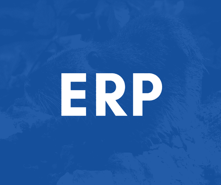 Mikä on ERP-järjestelmä ja miksi se kiinnostaa yrityksiä?